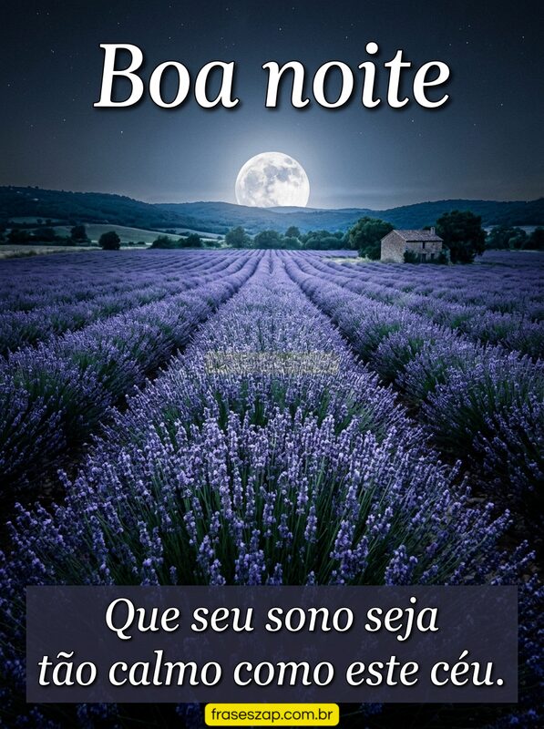 Imagem de boa noite para compartilhar no WhatsApp