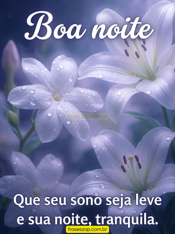 Imagem de boa noite para compartilhar no WhatsApp