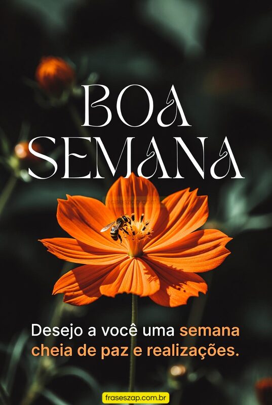 Imagem de boa semana para compartilhar no WhatsApp