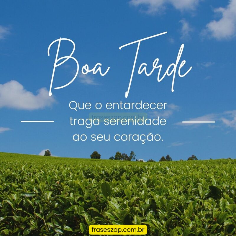 Imagem de boa tarde para compartilhar no WhatsApp