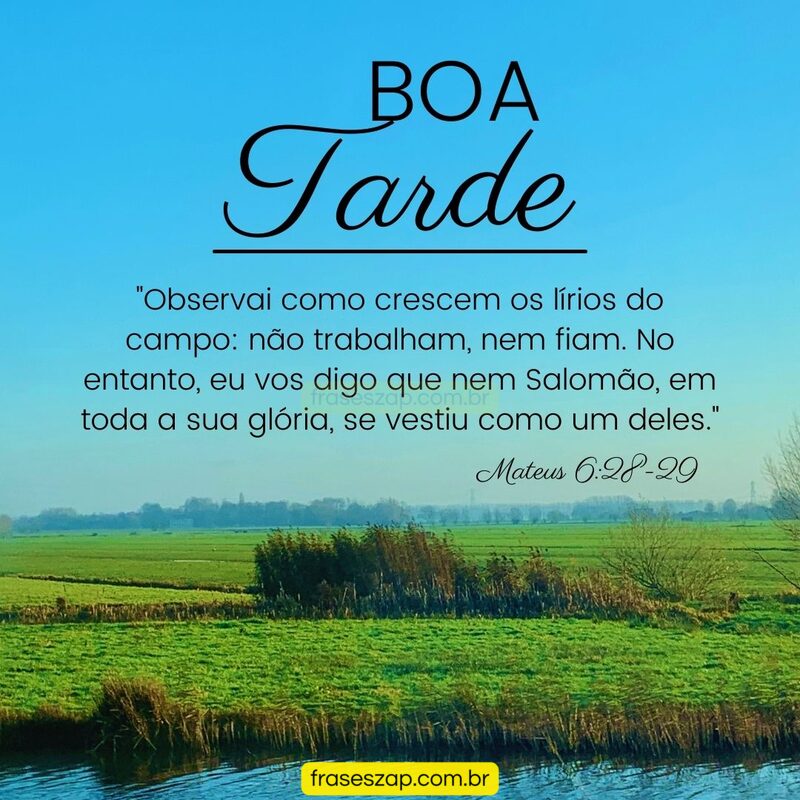 Imagem de boa tarde para compartilhar no WhatsApp