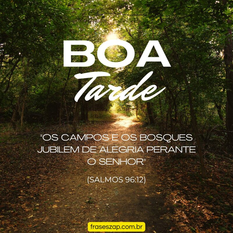 Imagem de boa tarde para compartilhar no WhatsApp