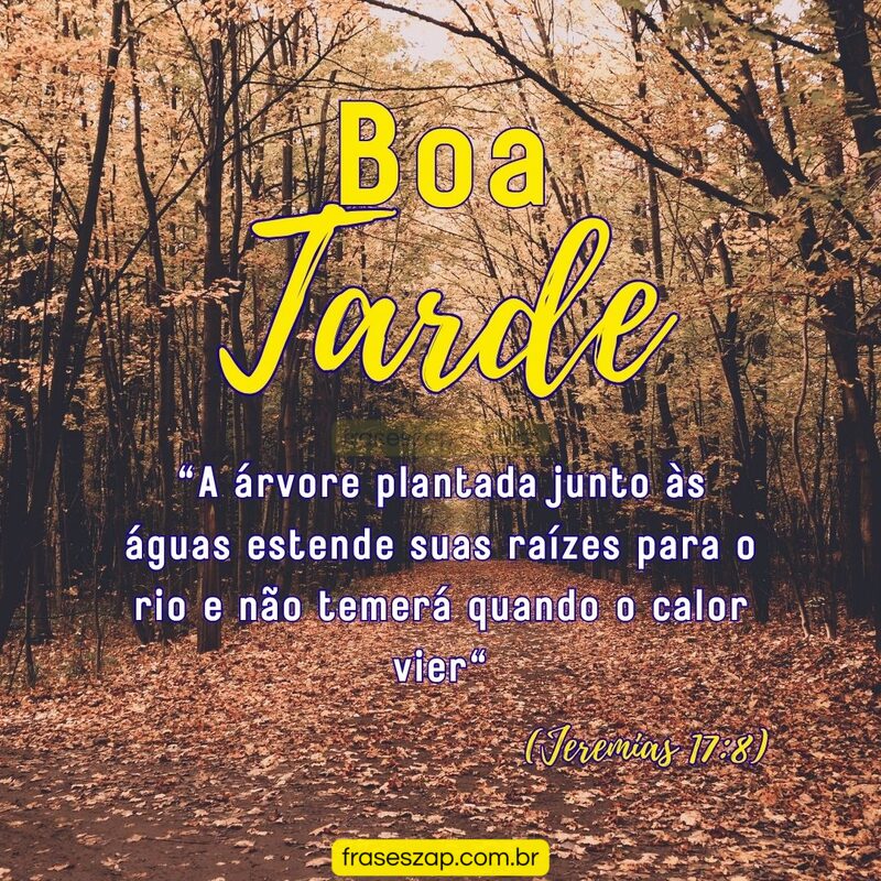 Imagem de boa tarde para compartilhar no WhatsApp