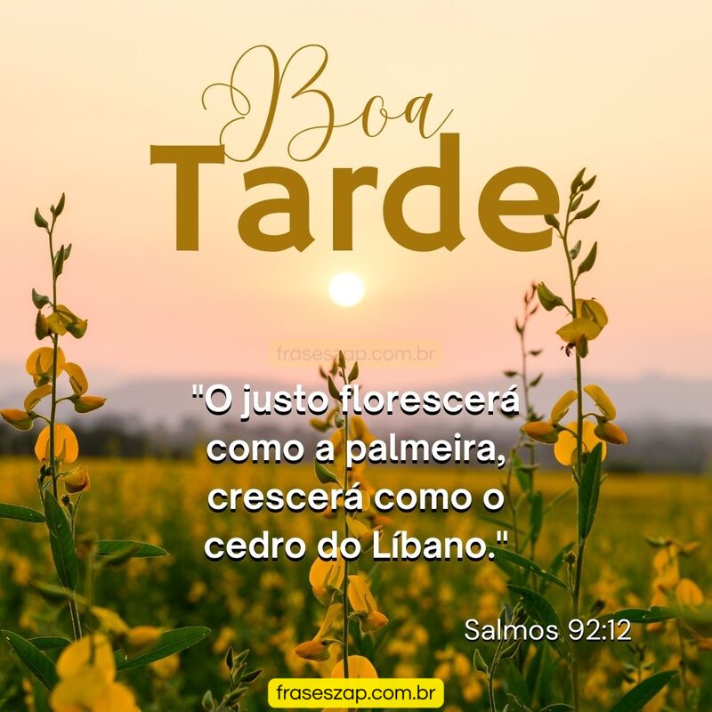 Imagem de boa tarde para compartilhar no WhatsApp