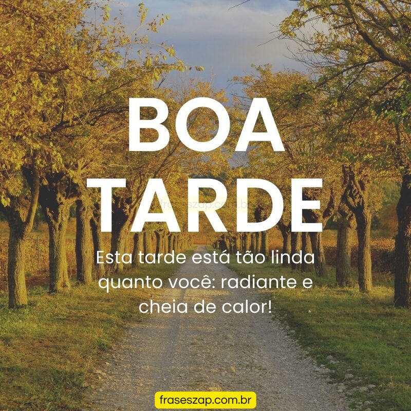 Imagem de boa tarde para compartilhar no WhatsApp