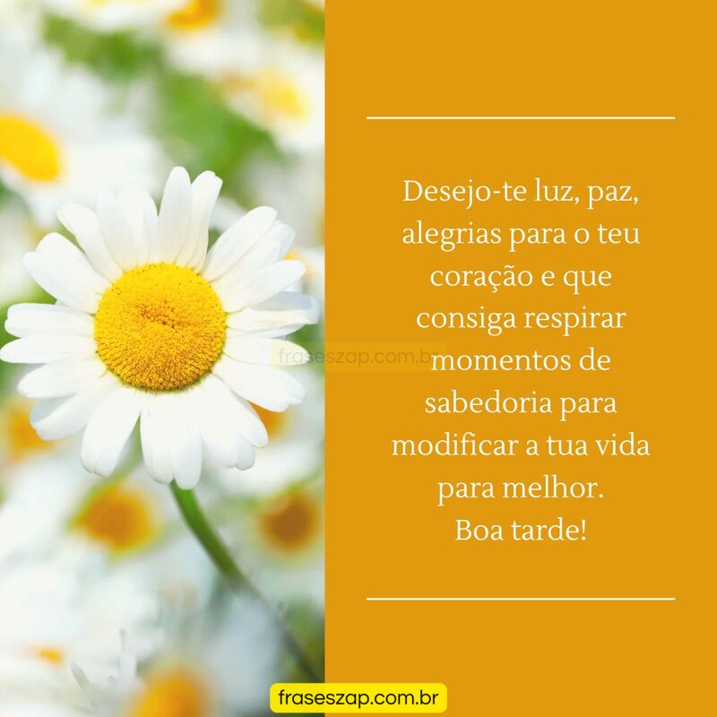 Imagem de boa tarde para compartilhar no WhatsApp