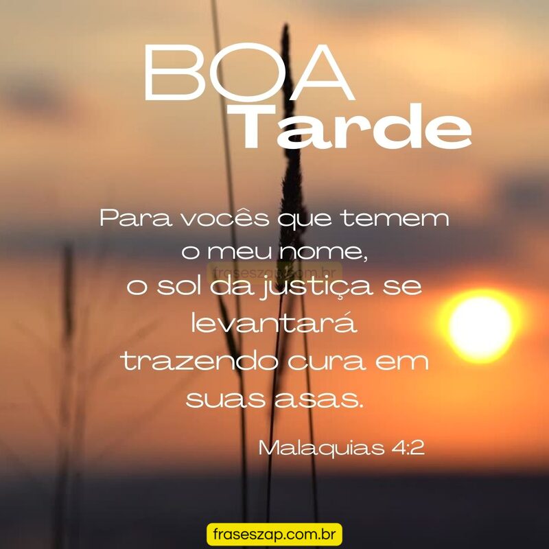 Imagem de boa tarde para compartilhar no WhatsApp