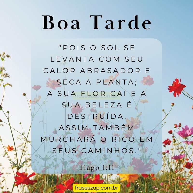 Imagem de boa tarde para compartilhar no WhatsApp