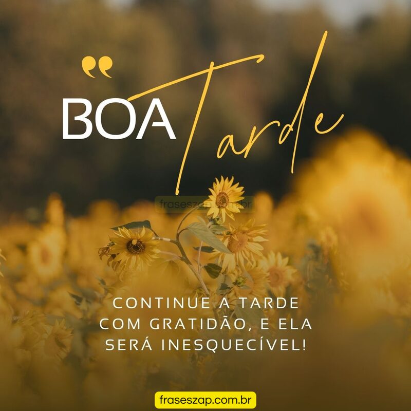 Imagem de boa tarde para compartilhar no WhatsApp
