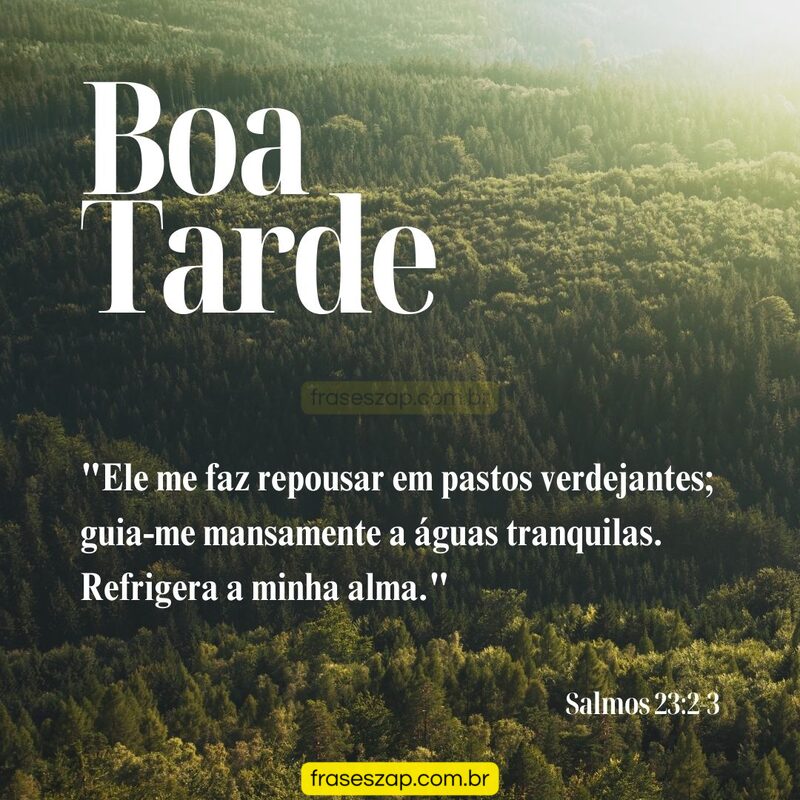 Imagem de boa tarde para compartilhar no WhatsApp