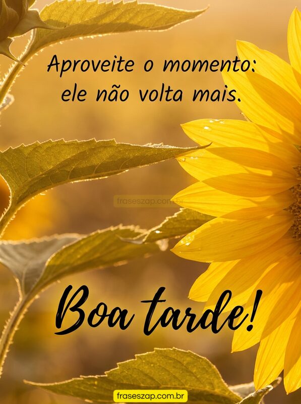 Imagem de boa tarde para compartilhar no WhatsApp
