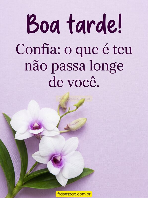 Imagem de boa tarde para compartilhar no WhatsApp