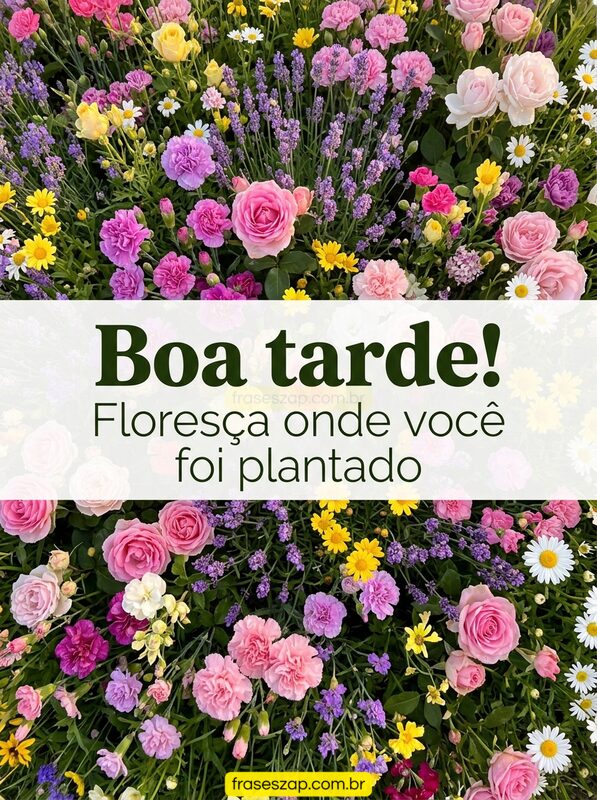 Imagem de boa tarde para compartilhar no WhatsApp