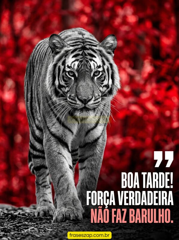 Imagem de boa tarde para compartilhar no WhatsApp