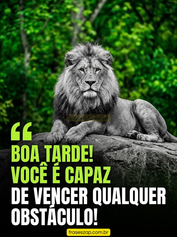 Imagem de boa tarde para compartilhar no WhatsApp