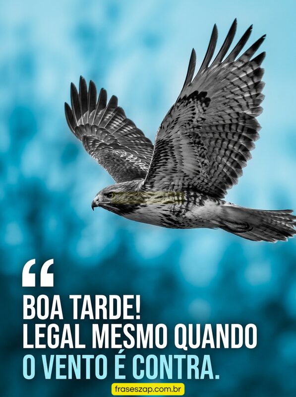 Imagem de boa tarde para compartilhar no WhatsApp