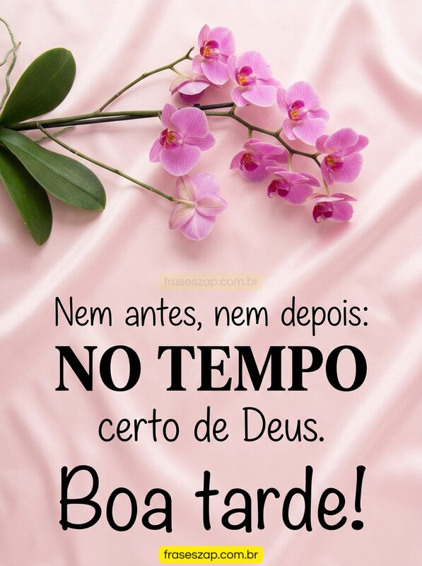 Imagem de boa tarde para compartilhar no WhatsApp