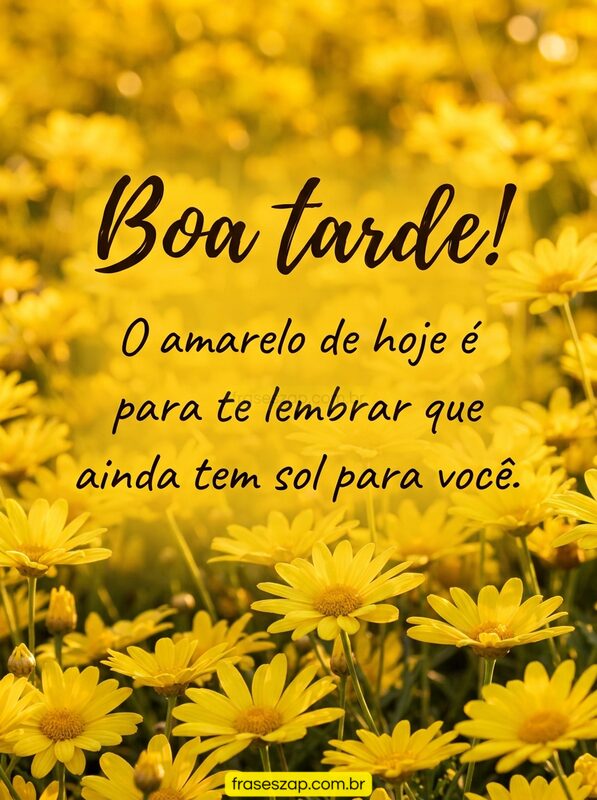 Imagem de boa tarde para compartilhar no WhatsApp