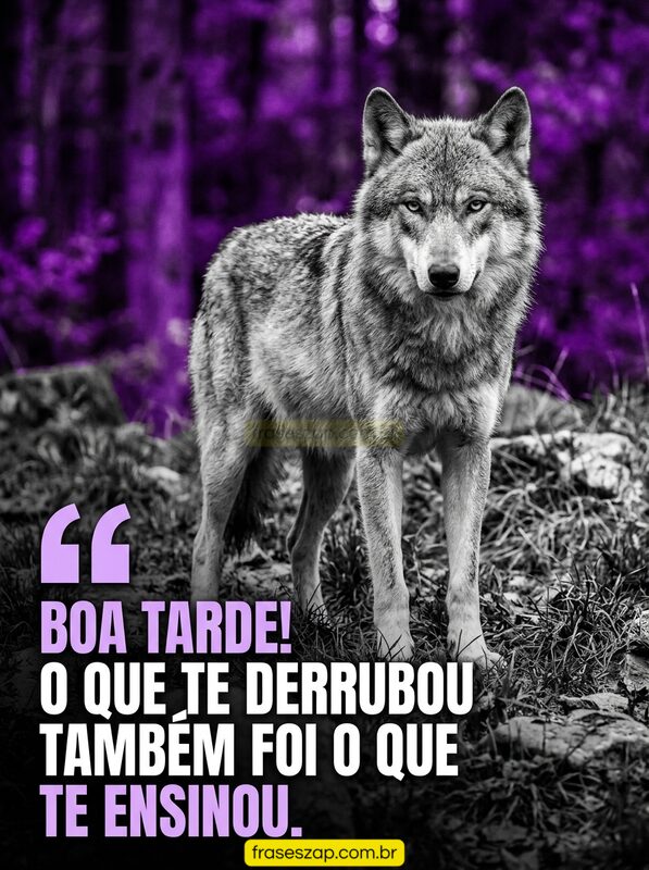 Imagem de boa tarde para compartilhar no WhatsApp
