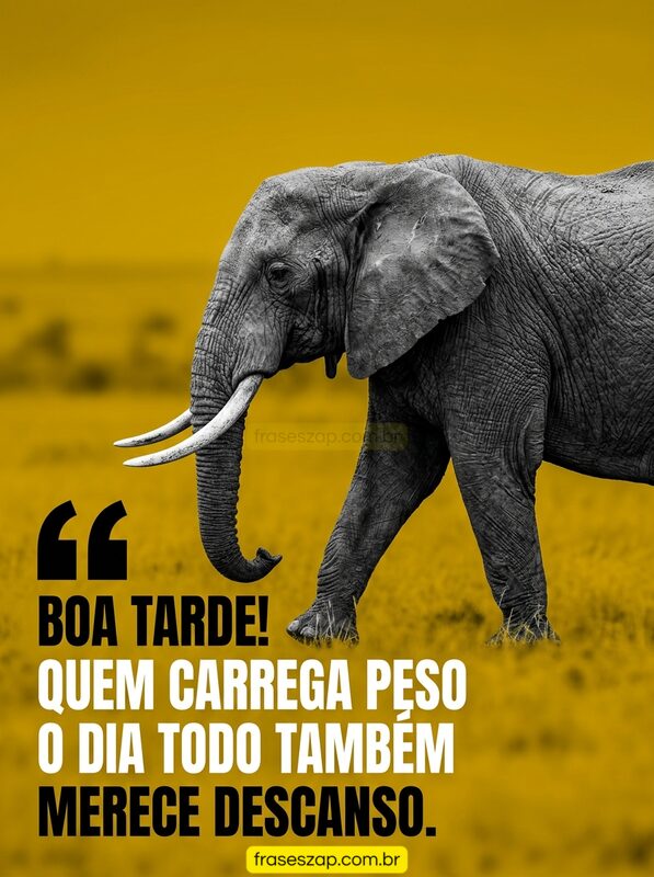 Imagem de boa tarde para compartilhar no WhatsApp