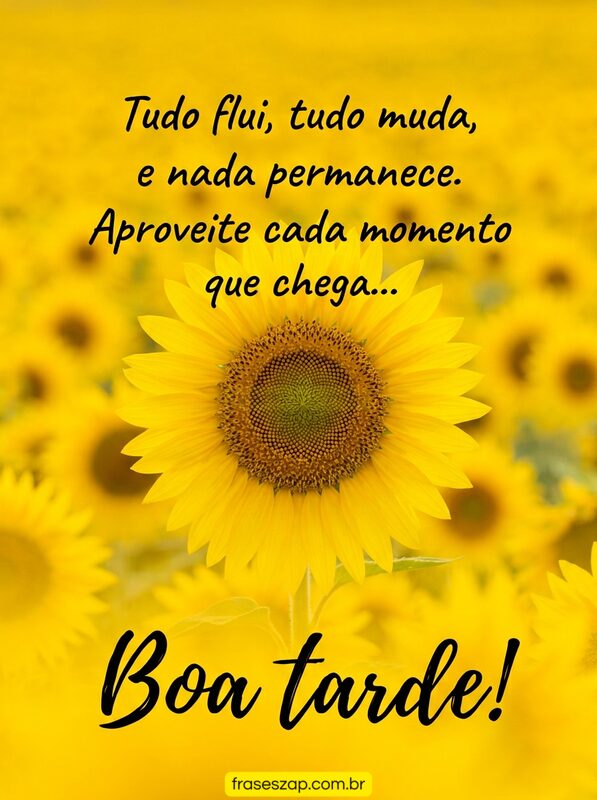 Imagem de boa tarde para compartilhar no WhatsApp