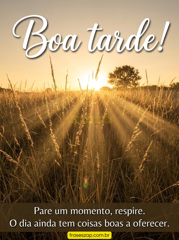 Imagem de boa tarde para compartilhar no WhatsApp