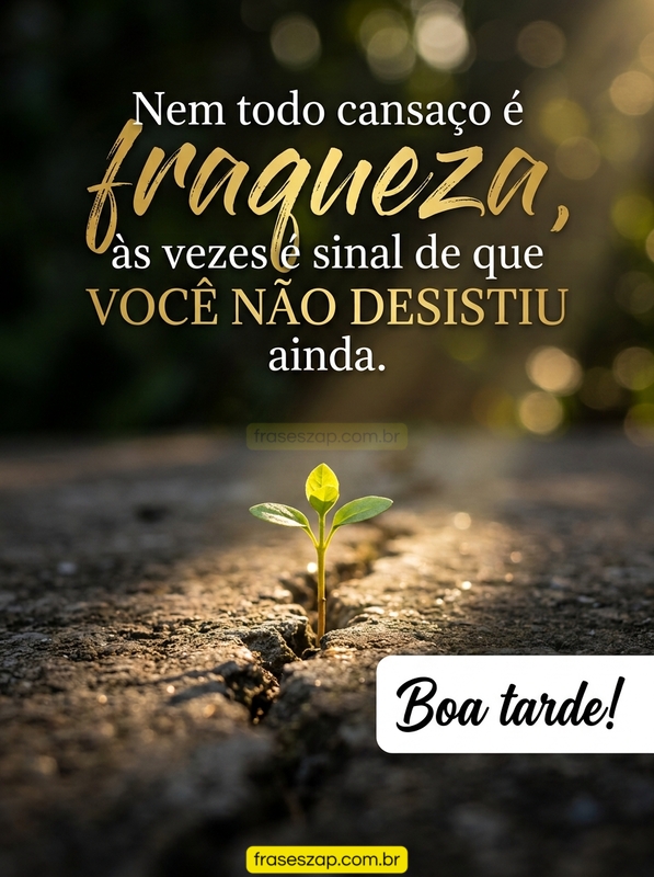Imagem de boa tarde para compartilhar no WhatsApp