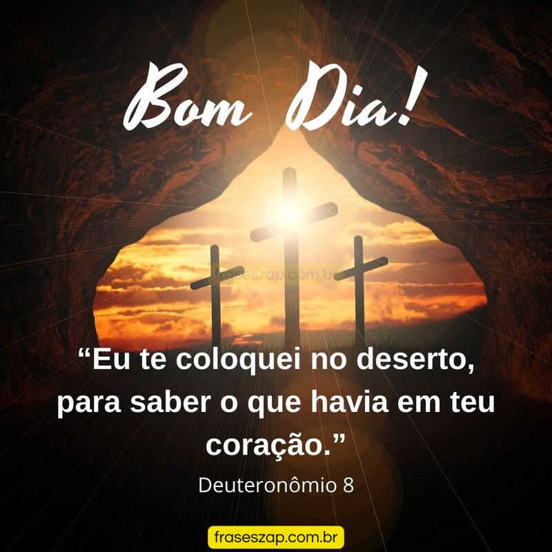 Imagem de bom dia para compartilhar no WhatsApp