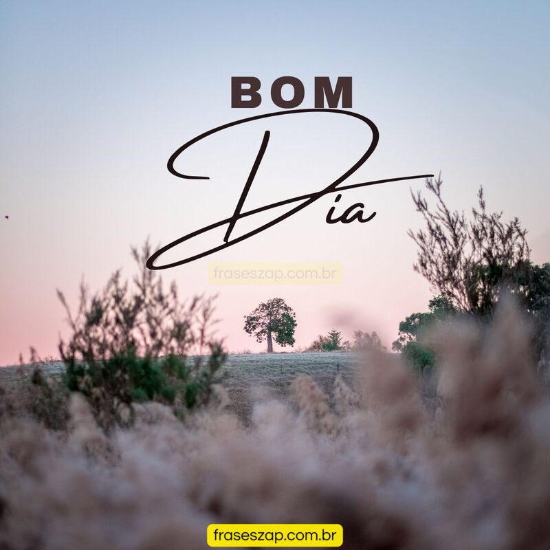 Imagem de bom dia para compartilhar no WhatsApp