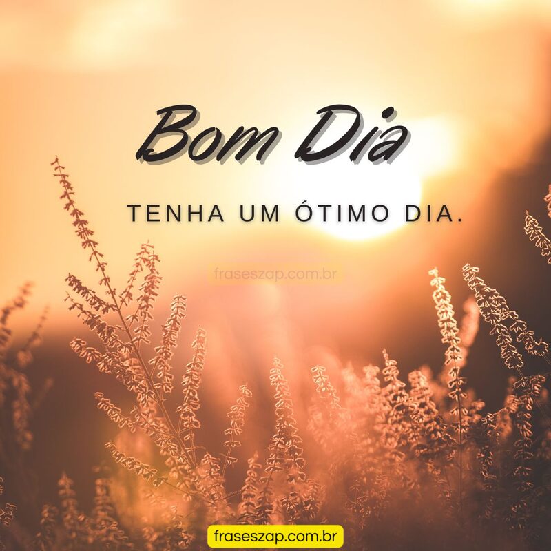 Imagem de bom dia para compartilhar no WhatsApp