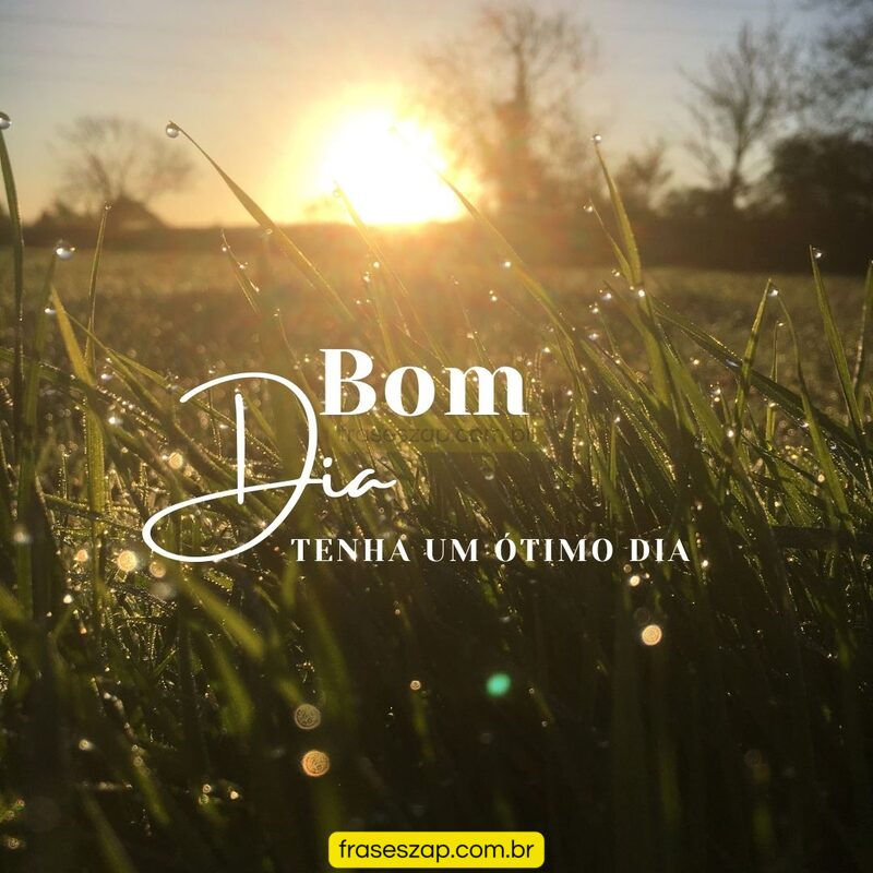 Imagem de bom dia para compartilhar no WhatsApp