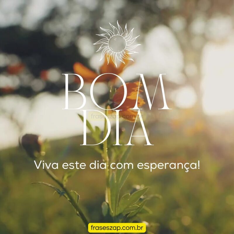 Imagem de bom dia para compartilhar no WhatsApp
