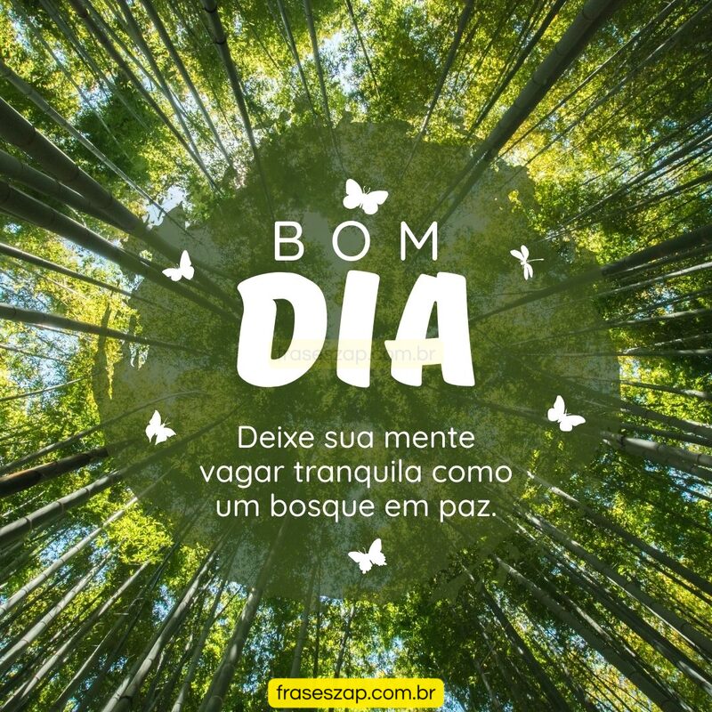 Imagem de bom dia para compartilhar no WhatsApp