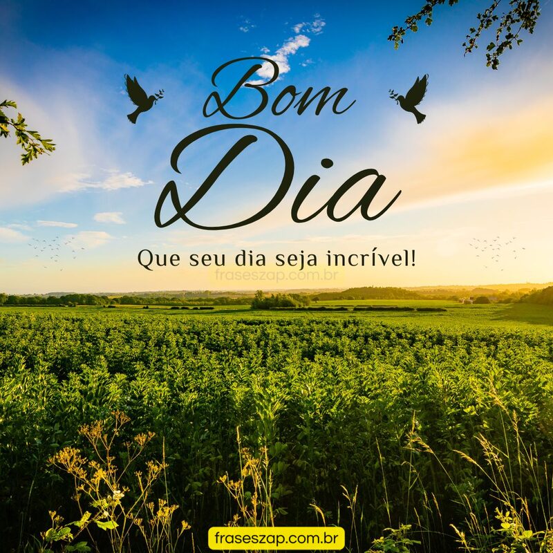 Imagem de bom dia para compartilhar no WhatsApp