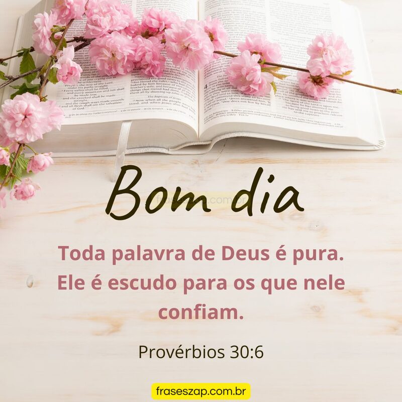 Imagem de bom dia para compartilhar no WhatsApp