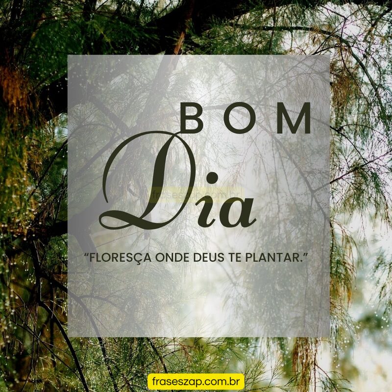 Imagem de bom dia para compartilhar no WhatsApp
