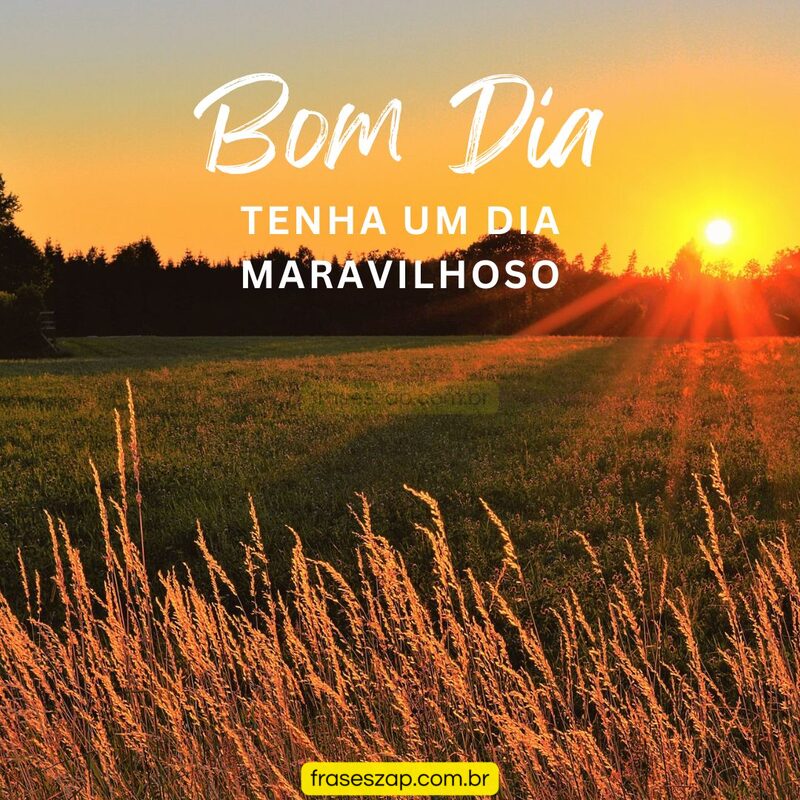 Imagem de bom dia para compartilhar no WhatsApp