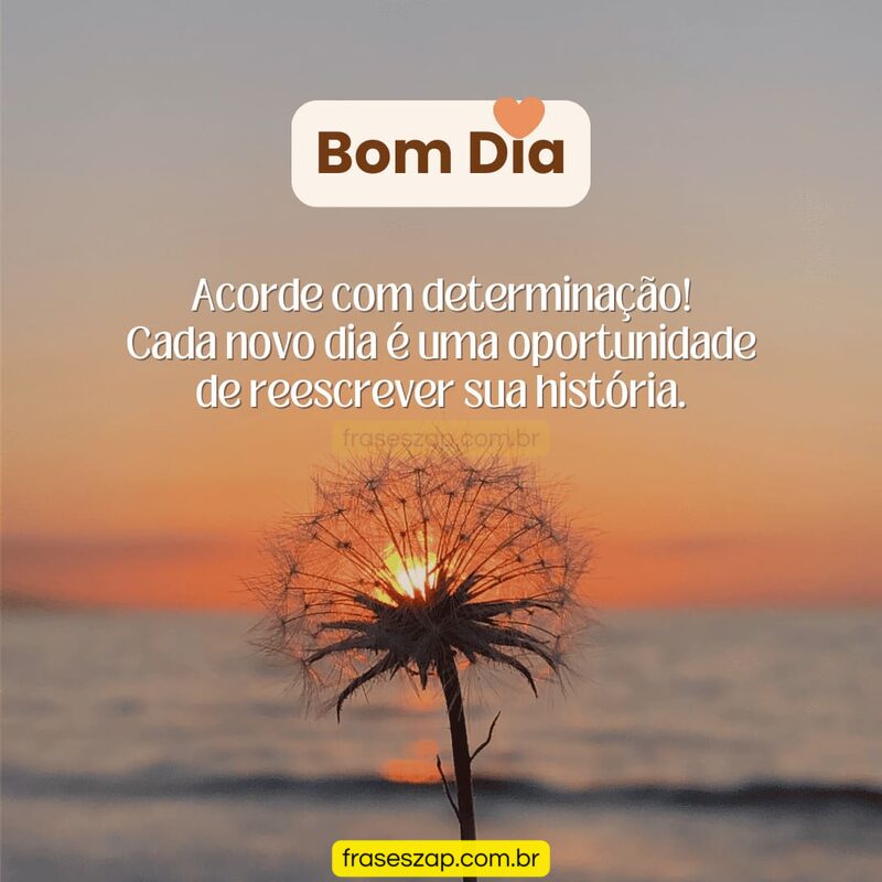 Imagem de bom dia para compartilhar no WhatsApp