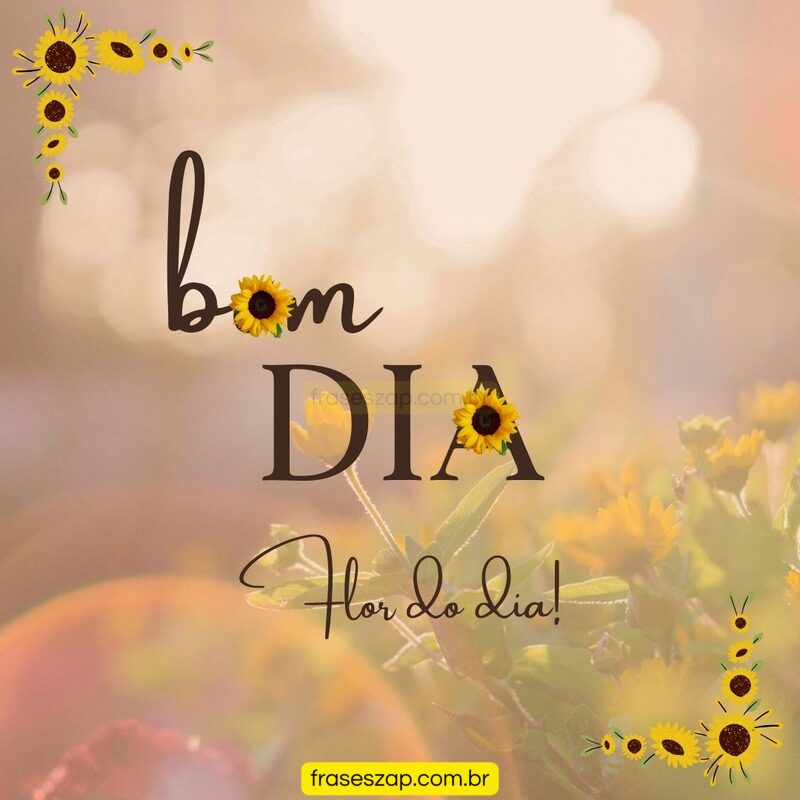 Imagem de bom dia para compartilhar no WhatsApp