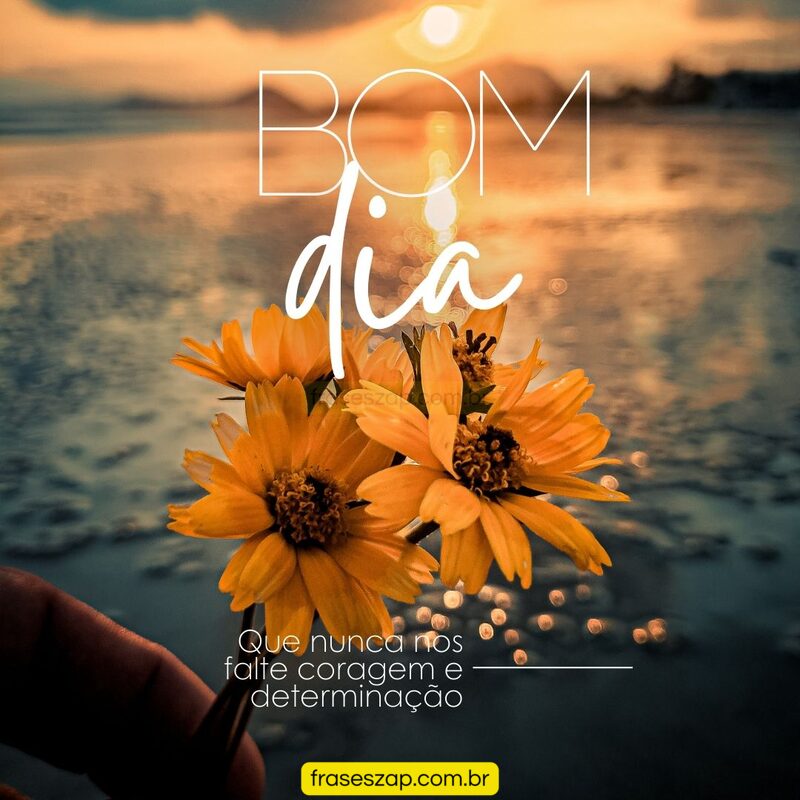 Imagem de bom dia para compartilhar no WhatsApp