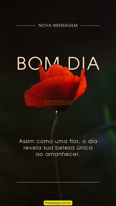 Imagem de bom dia para compartilhar no WhatsApp