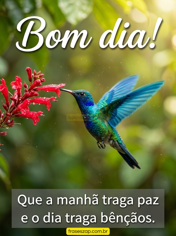 Imagem de bom dia para compartilhar no WhatsApp