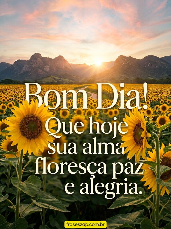 Imagem de bom dia para compartilhar no WhatsApp