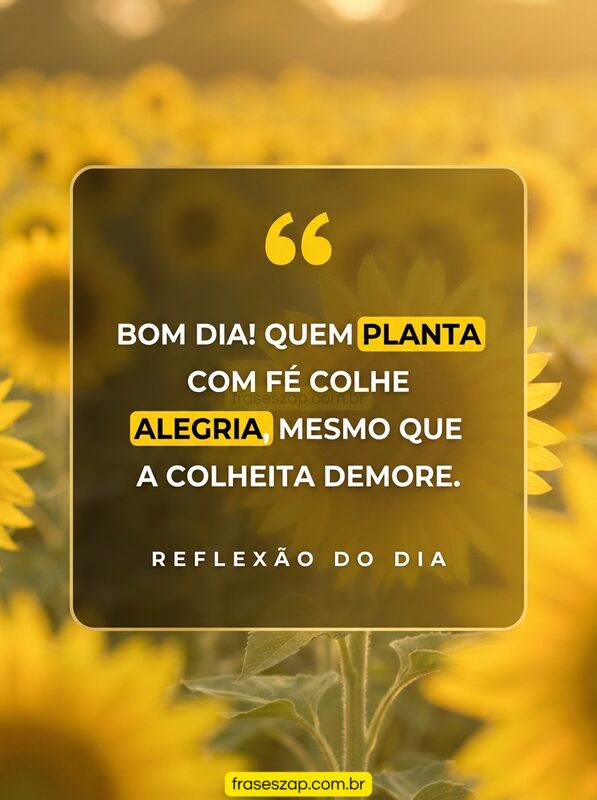 Imagem de bom dia para compartilhar no WhatsApp