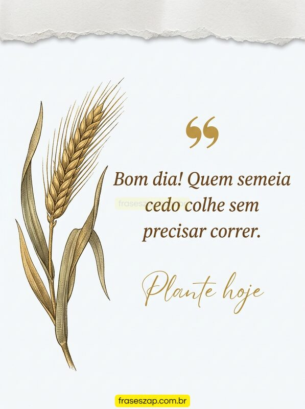 Imagem de bom dia para compartilhar no WhatsApp