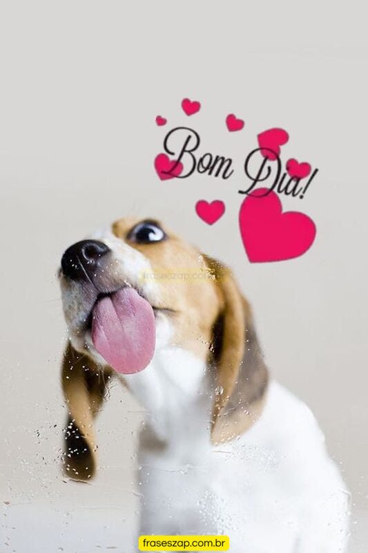 Imagem de bom dia para compartilhar no WhatsApp