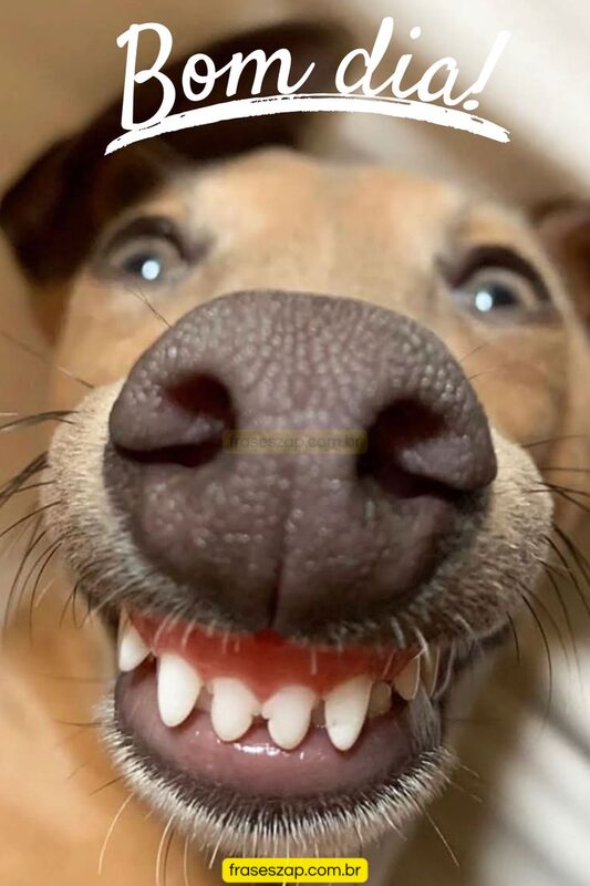 Imagem de bom dia para compartilhar no WhatsApp