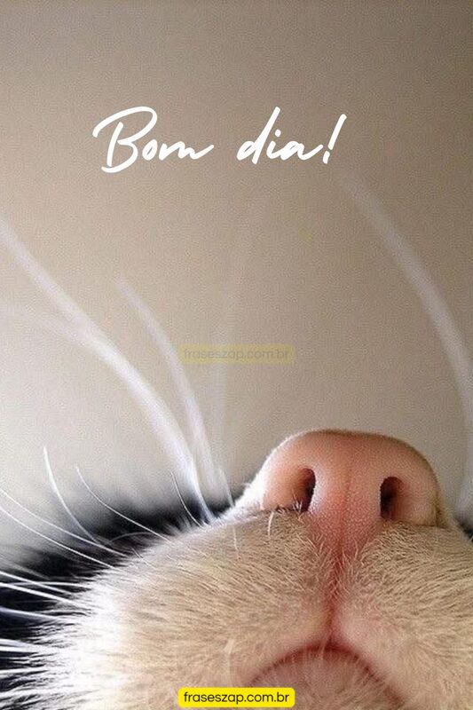 Imagem de bom dia para compartilhar no WhatsApp