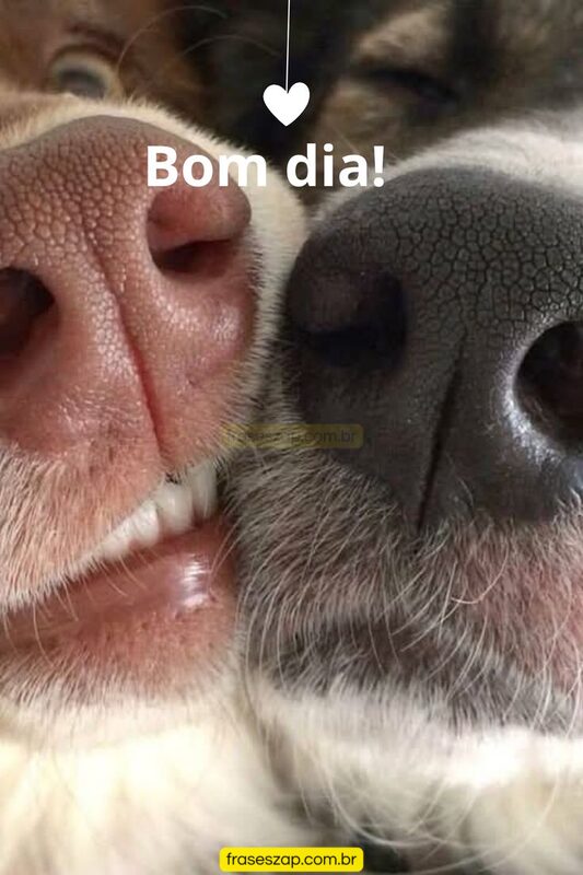 Imagem de bom dia para compartilhar no WhatsApp