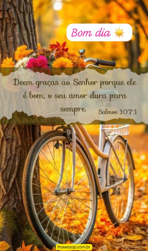 Imagem de bom dia para compartilhar no WhatsApp